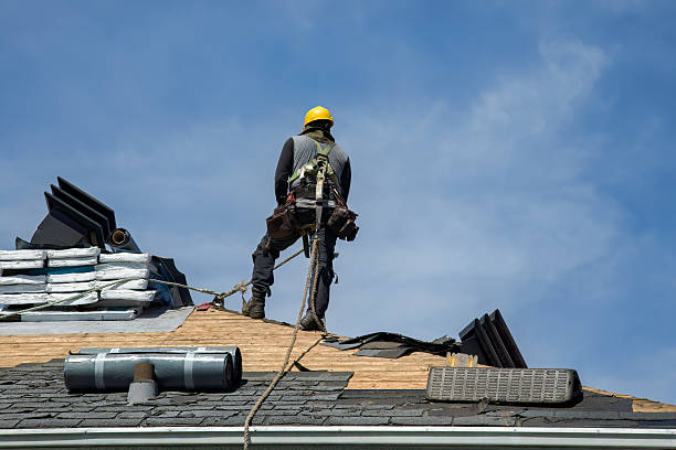 Professional Gutter Installation technician working in Walthourville, GA
